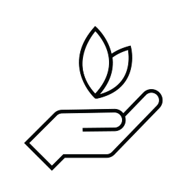 Soft Organic Cotton