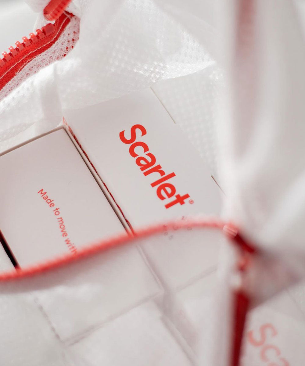 Scarlet Period Underwear Laundry Bag | Lightweight mesh delicates washing bag